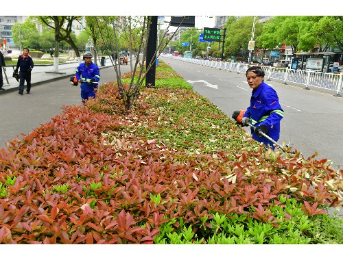 博鱼boyu：宜昌市城市绿化面积